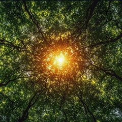 OSIRUS - Summer Solstice Mix 2k25