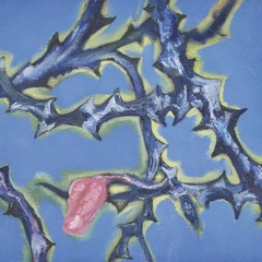 Crapules sensibles #02 (Alpha Wann, Népal, Isha, Limsa d’Aulnay, Laylow…)