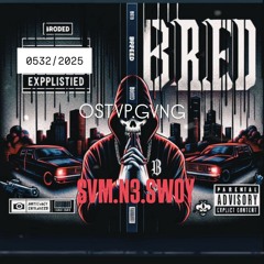 BRED-SVM.N3.SWOY(richbeautiful prod.)