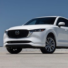 Man kjøper ikke bil av Lionlars