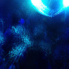 XEA B2B LE MOM - 20 Octobre 2025