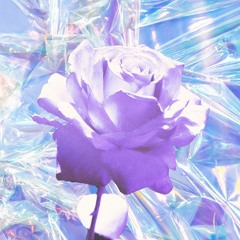 澪の薔薇