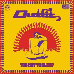 Daniel Romano's Outfit - Field Of Ruins