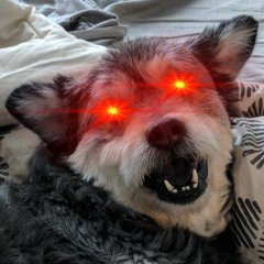 final message to instance 20250208