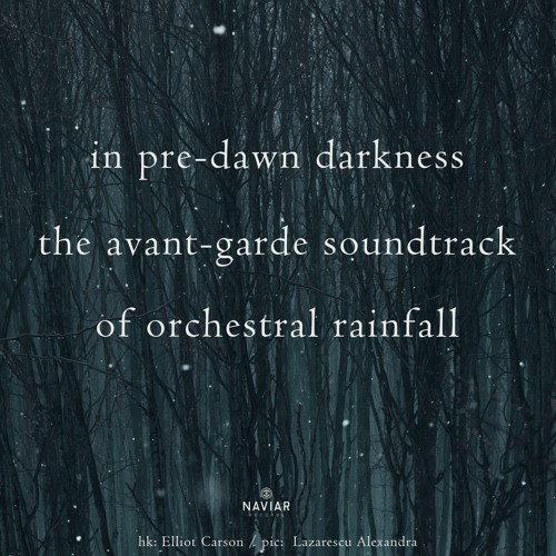 haiku 510: in pre-dawn darkness / the avant-garde soundtrack / of orchestral rainfall