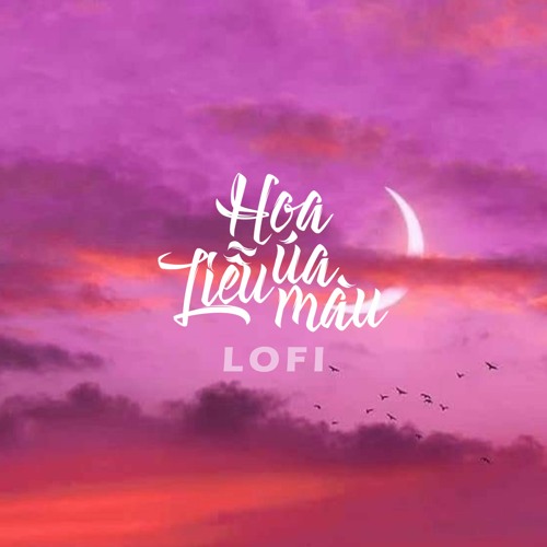 Hoa Liễu Úa Màu「LO-FI By NH4T」HUY TK