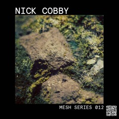 Mesh Series 012: Nick Cobby