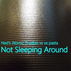 Ned's Atomic Dustbin - Not Sleeping Around (Bootleg2024 Remix)