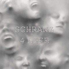 DOCOK - 1# SCHRANZ