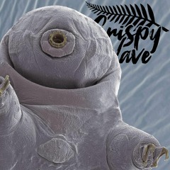 CW Radio 104 ⑊ The Mighty Tardigrade