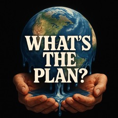 What's The Plan