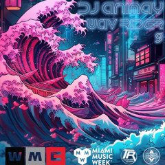 DJ Animay - Wav Rider 9