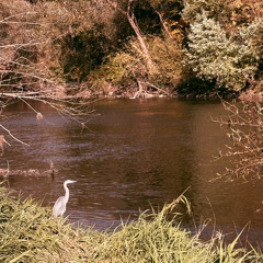 Symmetrical Intentions