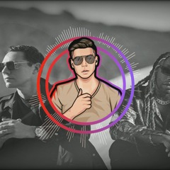 Tiësto & Ty Dolla $ign - The Business (Stevie V House Rework)