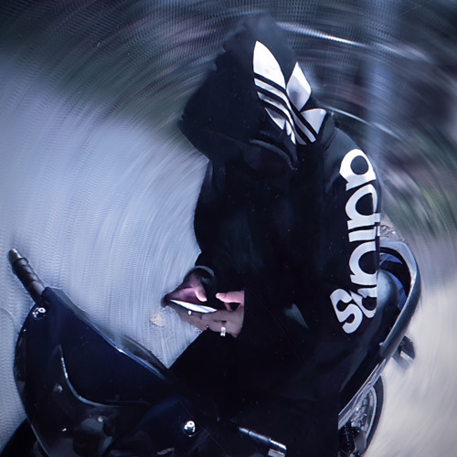 Em Có Yêu Anh Không ?