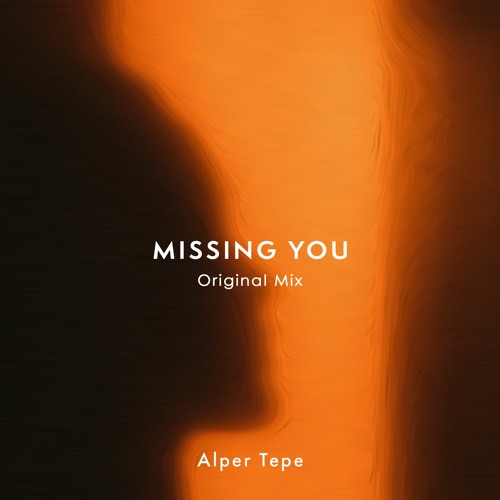 Alper Tepe - Missing You