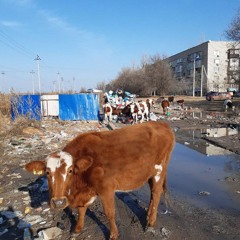 зиккурат,whatsappthug - южное сияние +Djhalla!
