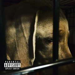 Dog In The Kennel (With. Juice Burr) prod. Mike Vince