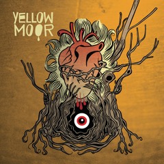 Yellow Moor - Yellow Flowers