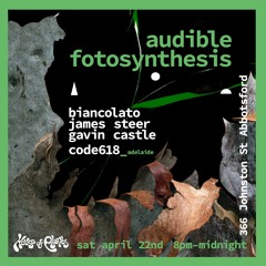 audible fotosynthesis all night