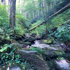 in time, your love will dissipate