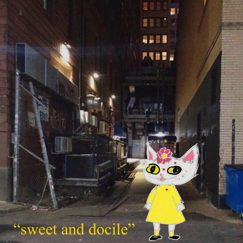 docile