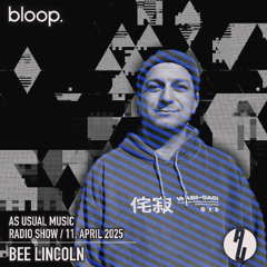 as usual music w/ Bee Lincoln - 11.04.25
