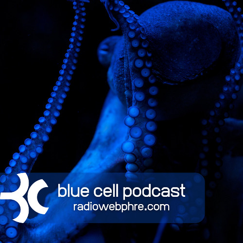 Blue Cell / Podcast 105 [2025-05-10]