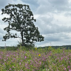 Future - Codeine Crazy (1950s Version)(Full)