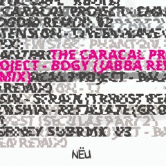 The Caracal Project - Bogy (Jabba Remix)