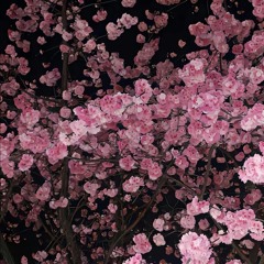 Hesabı Kime Sorayım