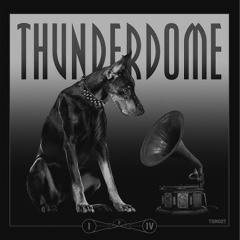 Mad Dog - Take It Easy (2024 RMX)