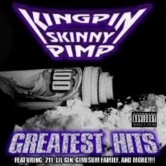 Kingpin Skinny Pimp - Doggin All Deez Bitches (1993)