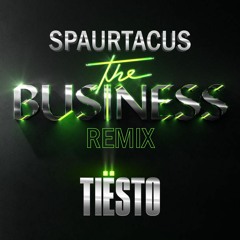 Tiësto - The Business (Spaurtacus Remix)