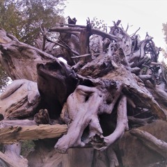 Seven Nights In Erie