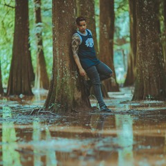In Search For Embers - The Swamp