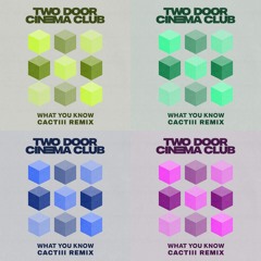 Two Door Cinema Club - What You Know (CACTIII Remix)