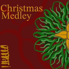 The christmas medley