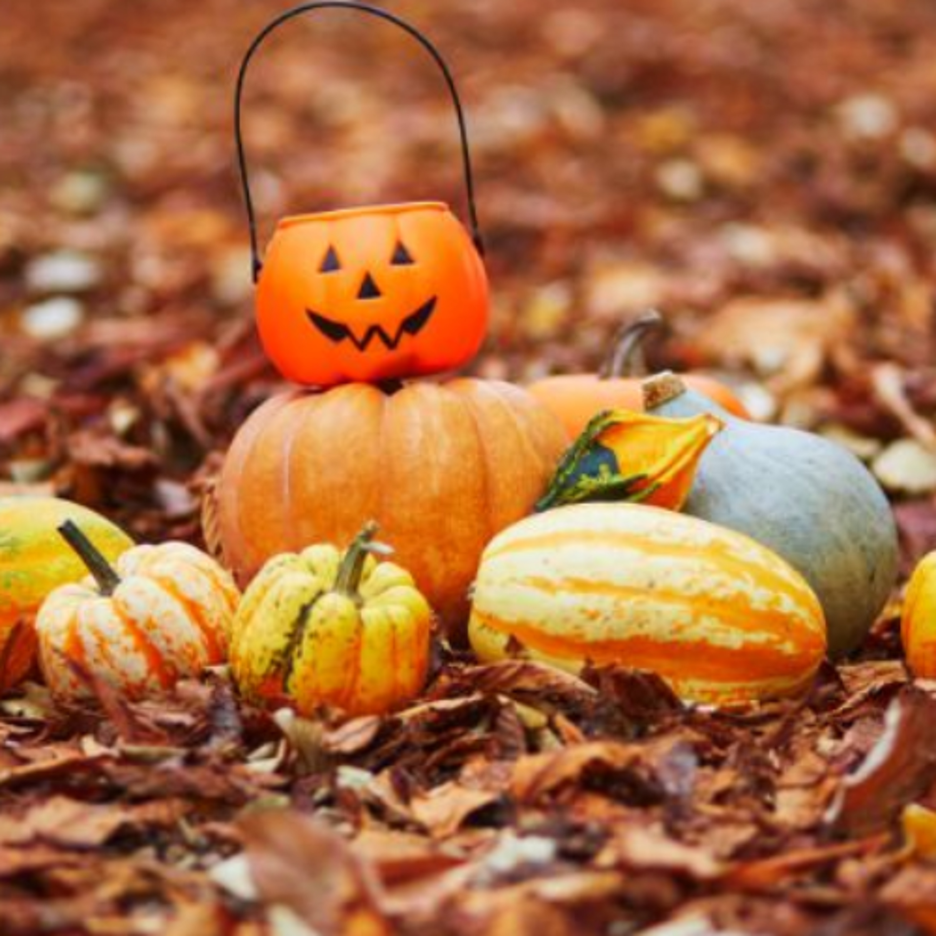 Spooky Halloween In Clare Spooky Halloween In Clare