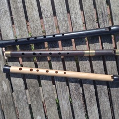 Orange in bloom compare types