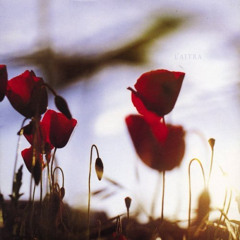 POP CORNEREpisode 17