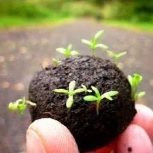 drop seedbombs if you Army people destroy earth or you wont heal trauma ,nature