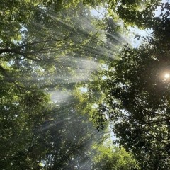 chaosysl + cip - blur (me n sake)