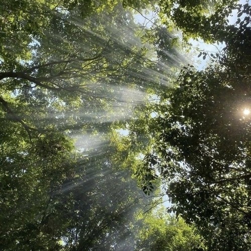 chaosysl + cip - blur (me n sake)