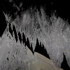 Møndaigai - Potential Motion
