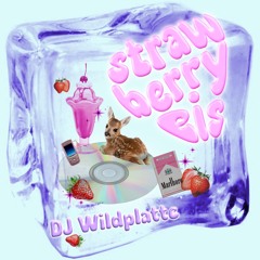 DJ WILDPLATTE - STRAWBERRY EIS