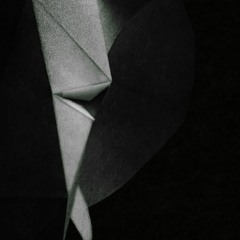 Der Elefant schaut aber böse aus \ tütechno