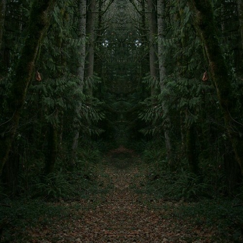 ANUBYZZ - FLORESTA ORGANICA [DJSET-OCT2022]