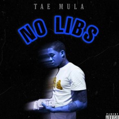 Tae Mula No Libs Prod By TyMadeIt