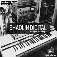 HEADAXE TRIBE X SHAOLIN DIGITAL